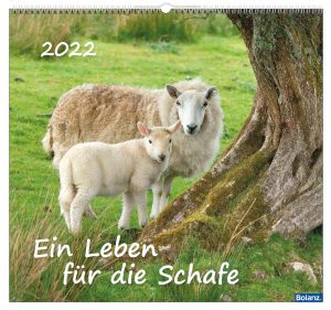 Ein Leben für die Schafe 2022 Wandkalender