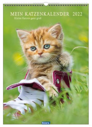 Mein Katzenkalender 2022 Posterkalender