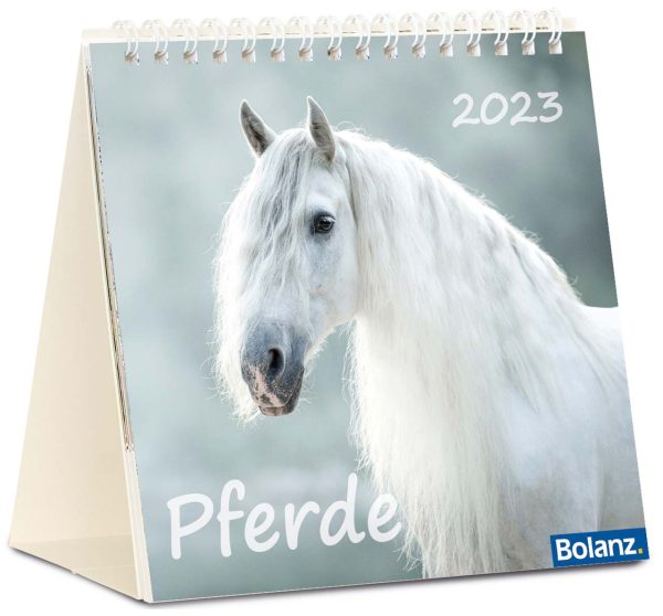 Pferde 2023 Tischkalender