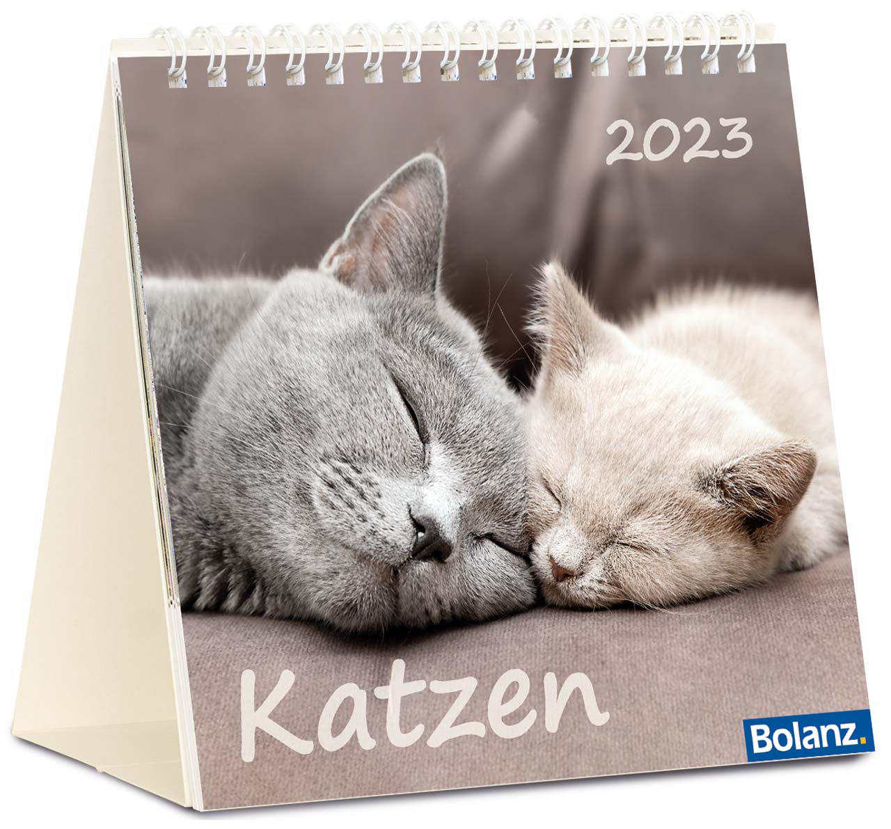 Katzen 2023 Tischkalender
