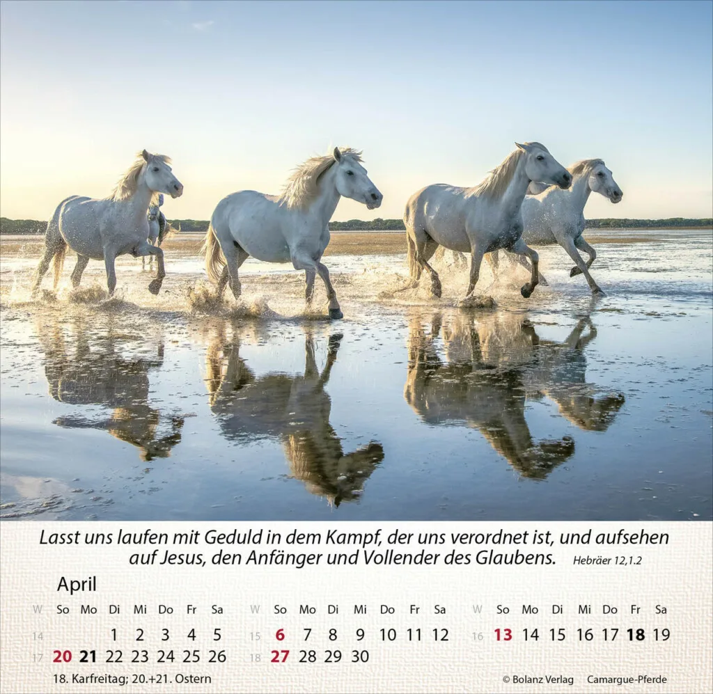 Pferde 2025 Tischkalender – Bild 5