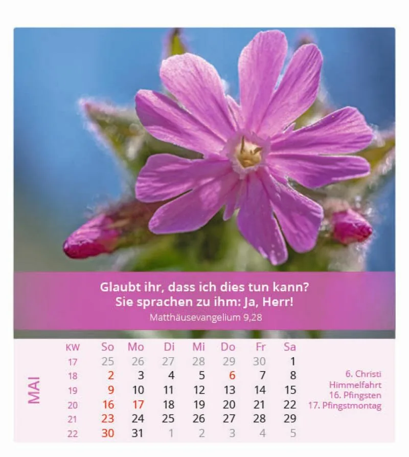 Ich bin der Herr, dein Gott! 2027 Tischkalender – Bild 6