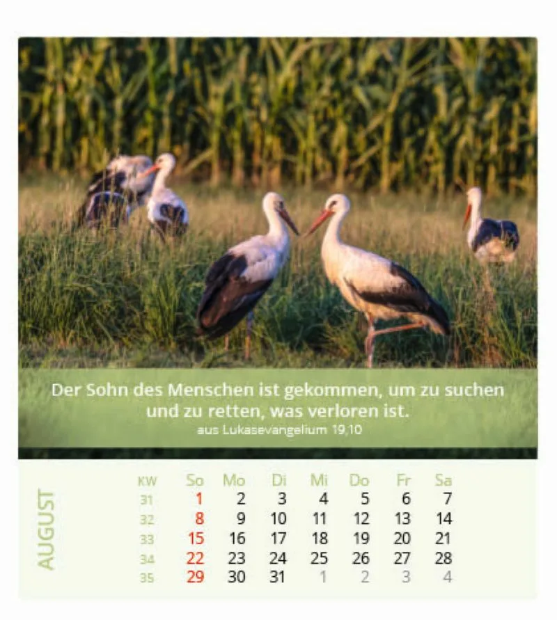 Ich bin der Herr, dein Gott! 2027 Tischkalender – Bild 9