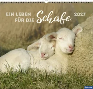 Ein Leben für die Schafe 2027 Wandkalender